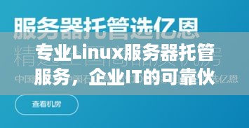 专业Linux服务器托管服务，企业IT的可靠伙伴