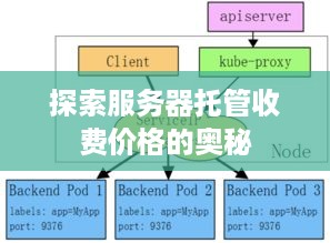 探索服务器托管收费价格的奥秘