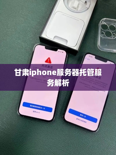 甘肃iphone服务器托管服务解析