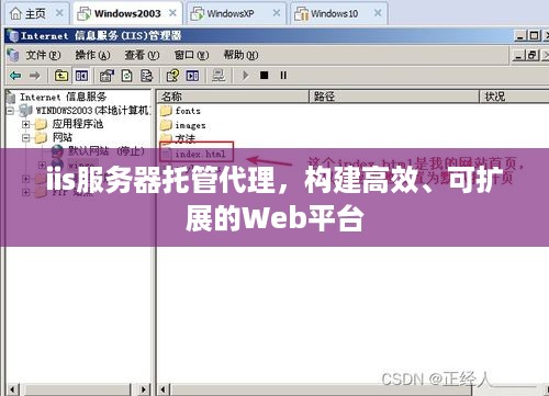 iis服务器托管代理，构建高效、可扩展的Web平台