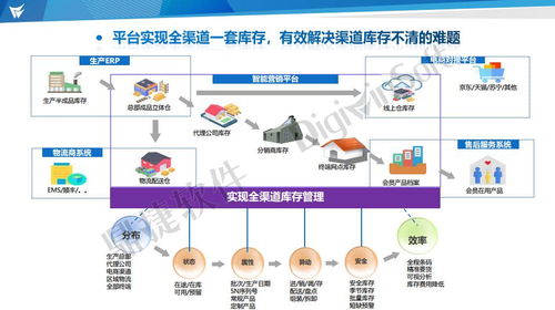 沈阳双线服务器托管——企业数字化转型的强力支撑