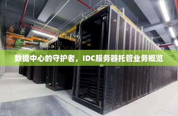 数据中心的守护者，IDC服务器托管业务概览