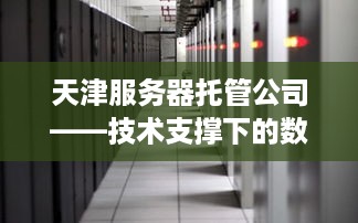 天津服务器托管公司——技术支撑下的数据中心服务