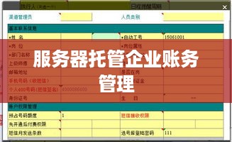 服务器托管企业账务管理