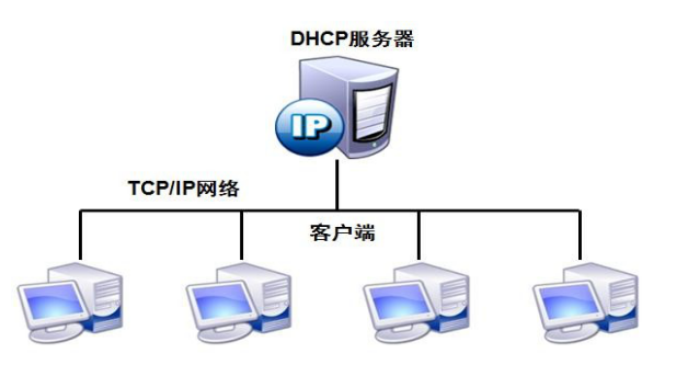 天津dhcp服务器托管，高效网络的坚实后盾