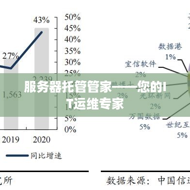 服务器托管管家——您的IT运维专家