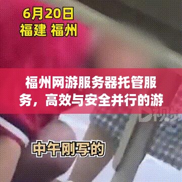 福州网游服务器托管服务，高效与安全并行的游戏体验