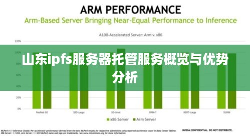 山东ipfs服务器托管服务概览与优势分析