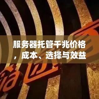 服务器托管千兆价格，成本、选择与效益分析