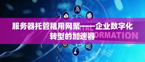 服务器托管租用网聚——企业数字化转型的加速器