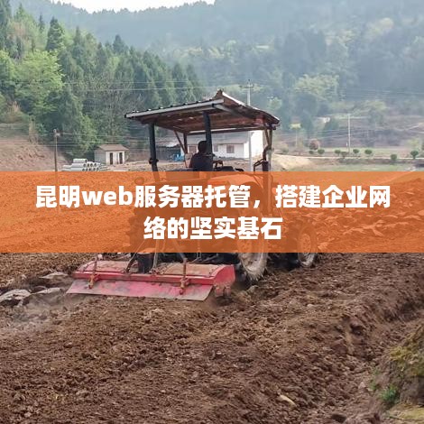 昆明web服务器托管，搭建企业网络的坚实基石