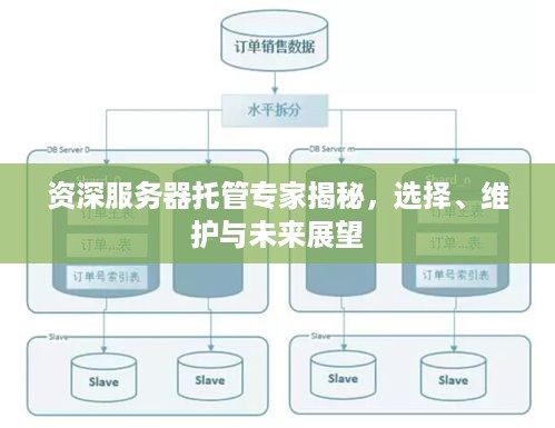 资深服务器托管专家揭秘，选择、维护与未来展望