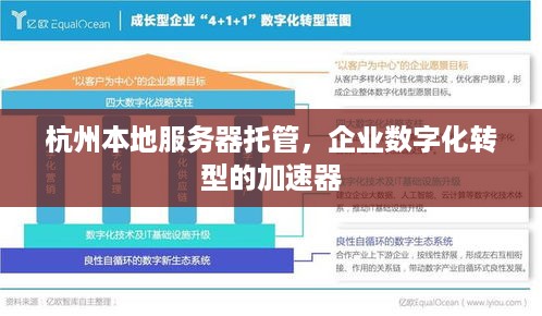 杭州本地服务器托管，企业数字化转型的加速器