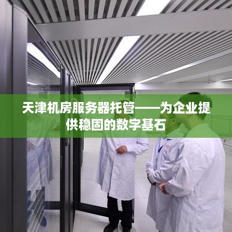 天津机房服务器托管——为企业提供稳固的数字基石