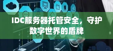 IDC服务器托管安全，守护数字世界的盾牌