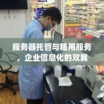 服务器托管与租用服务，企业信息化的双翼