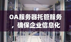 OA服务器托管服务，确保企业信息化的稳固桥梁