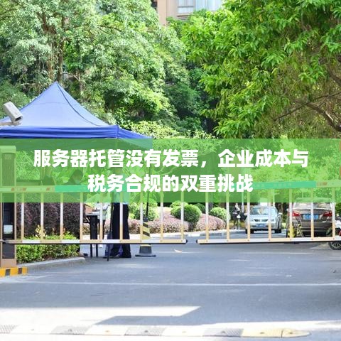 服务器托管没有发票，企业成本与税务合规的双重挑战