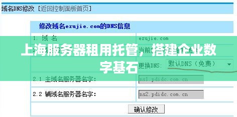 上海服务器租用托管，搭建企业数字基石