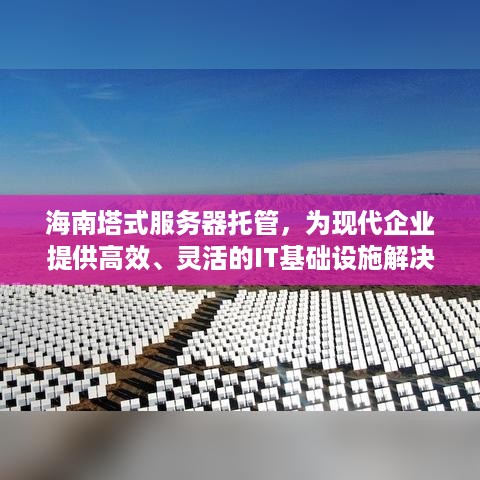 海南塔式服务器托管，为现代企业提供高效、灵活的IT基础设施解决方案