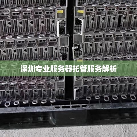 深圳专业服务器托管服务解析