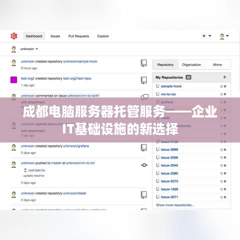 成都电脑服务器托管服务——企业IT基础设施的新选择