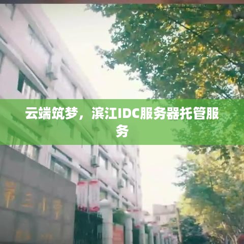 云端筑梦，滨江IDC服务器托管服务