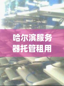 哈尔滨服务器托管租用，稳定与创新的平衡艺术