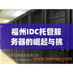 福州IDC托管服务器的崛起与挑战