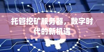 托管挖矿服务器，数字时代的新机遇