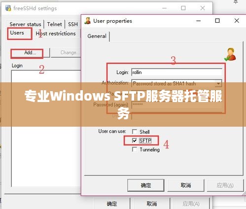 专业Windows SFTP服务器托管服务