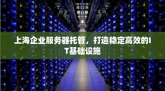 上海企业服务器托管，打造稳定高效的IT基础设施