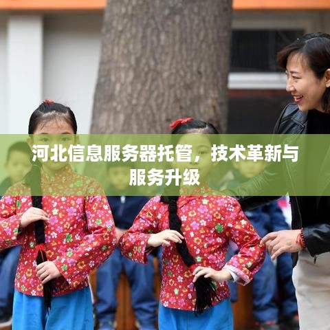 河北信息服务器托管，技术革新与服务升级