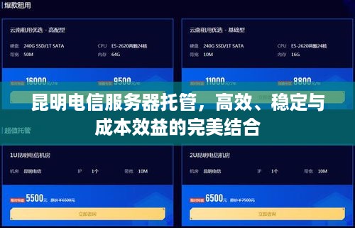 昆明电信服务器托管，高效、稳定与成本效益的完美结合