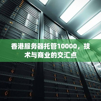 香港服务器托管10000，技术与商业的交汇点