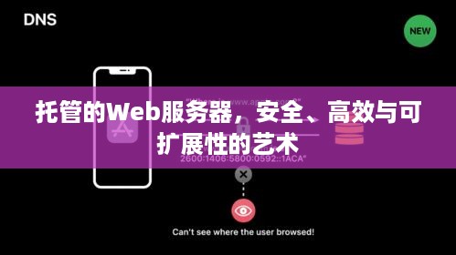 托管的Web服务器，安全、高效与可扩展性的艺术