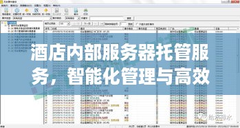 酒店内部服务器托管服务，智能化管理与高效运作