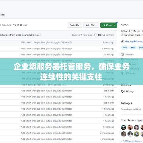 企业级服务器托管服务，确保业务连续性的关键支柱