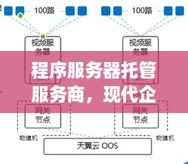 程序服务器托管服务商，现代企业的IT基础设施守护者