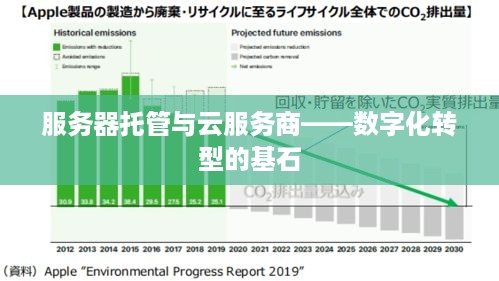 服务器托管与云服务商——数字化转型的基石