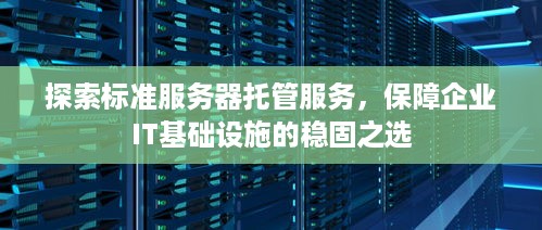 探索标准服务器托管服务，保障企业IT基础设施的稳固之选