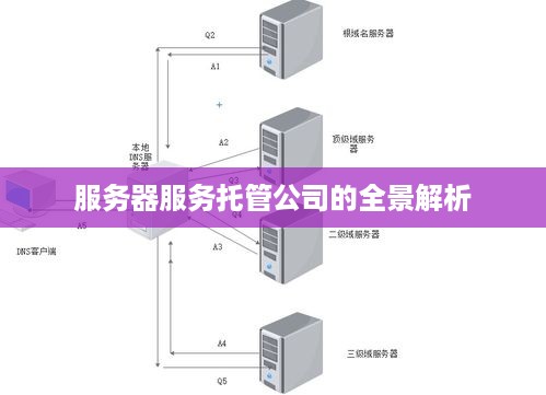 服务器服务托管公司的全景解析