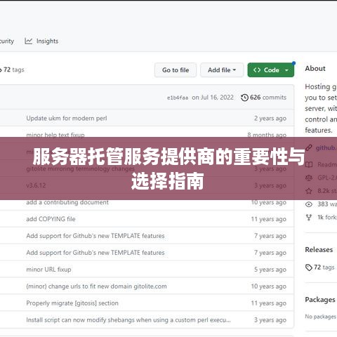 服务器托管服务提供商的重要性与选择指南
