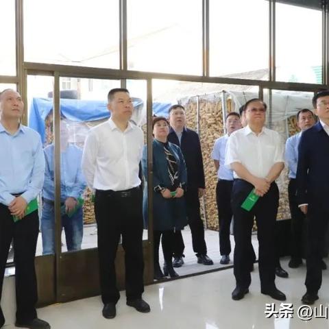 福建服务器托管服务商，数字时代的可靠伙伴