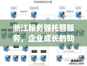 浙江服务器托管服务，企业成长的助推器