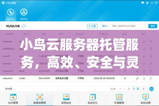 小鸟云服务器托管服务，高效、安全与灵活的IT解决方案
