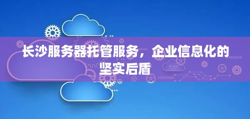 长沙服务器托管服务，企业信息化的坚实后盾