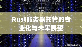 Rust服务器托管的专业化与未来展望