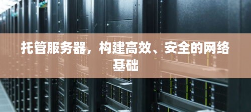 托管服务器，构建高效、安全的网络基础