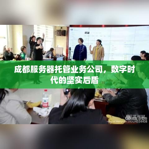 成都服务器托管业务公司，数字时代的坚实后盾